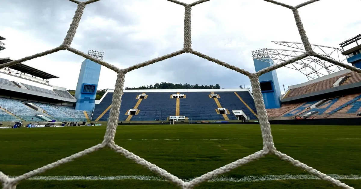 Palmeiras e Bragantino estão escalados para duelo pelo Brasileirão